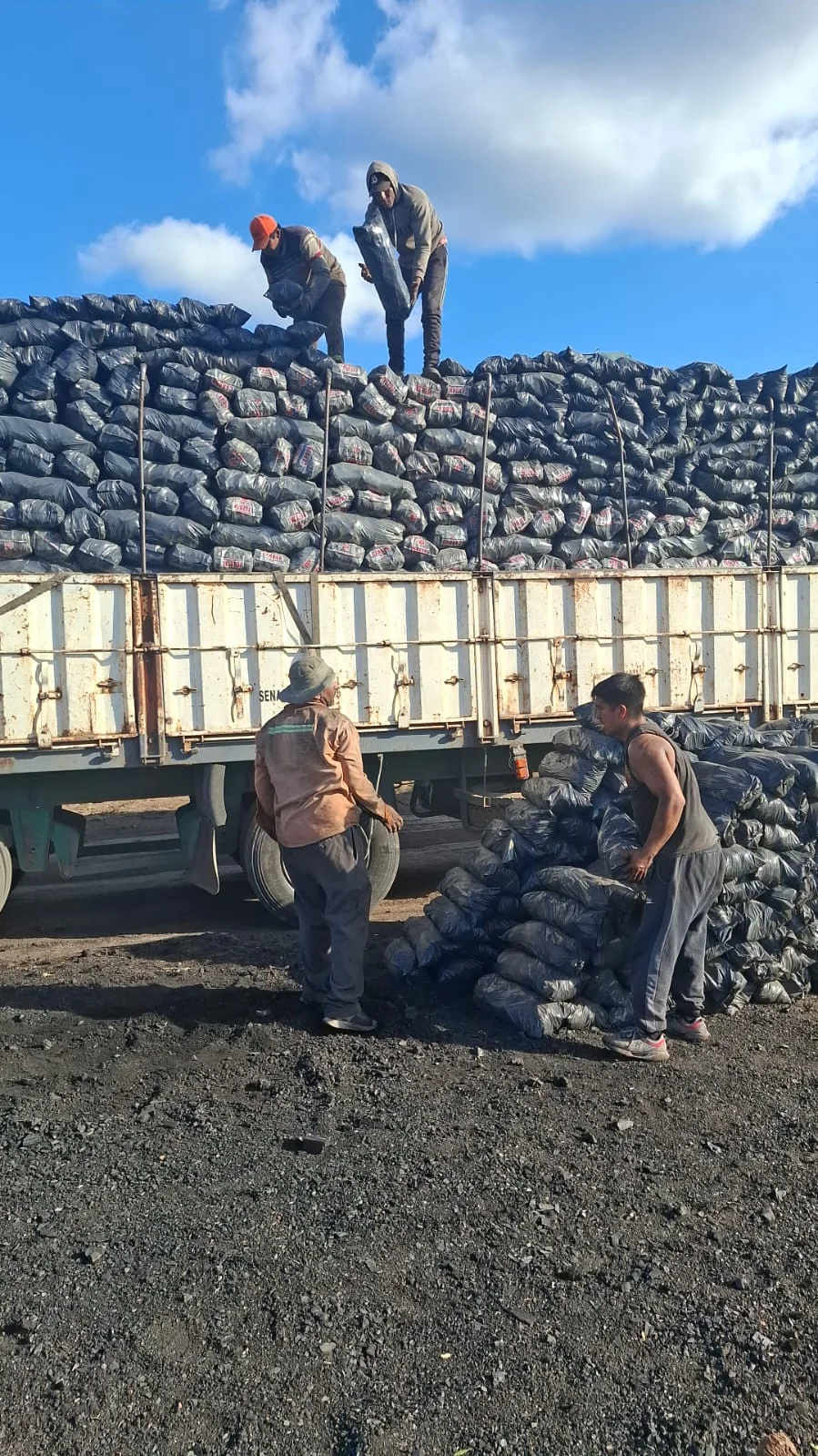 Carga de bolsas de carbon en el camion