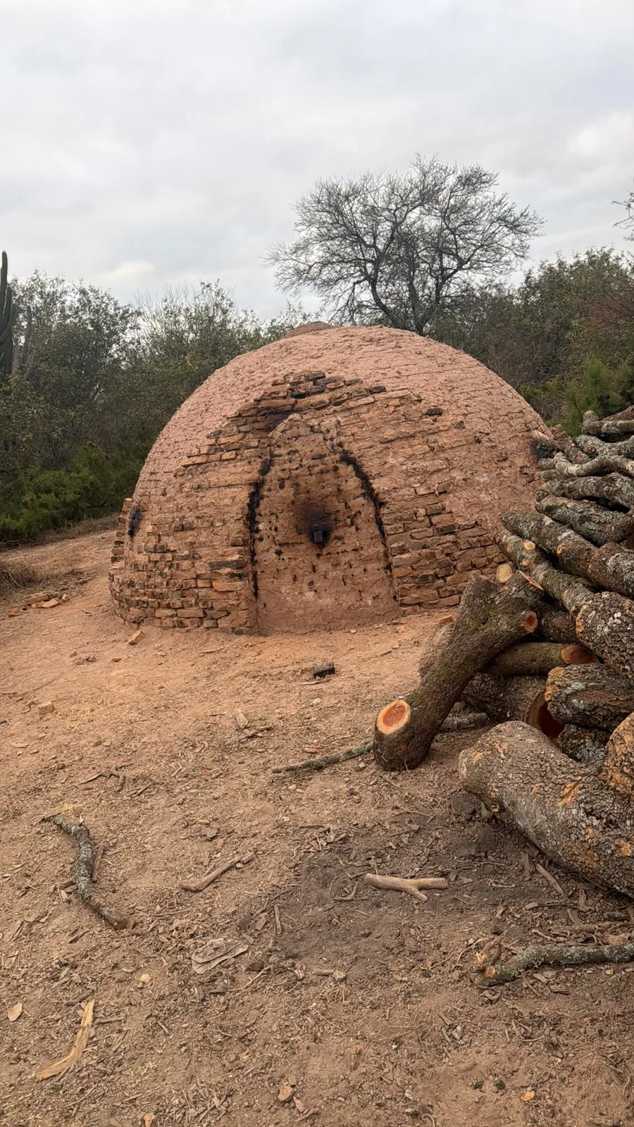 Horno de barro tradicional para produccion de carbon